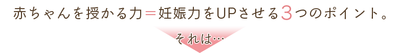 赤ちゃんを授かる力＝妊娠力をUPさせる3つのポイント。 